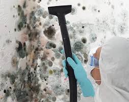 Best Mold Damage Restoration  in Lwa, CA